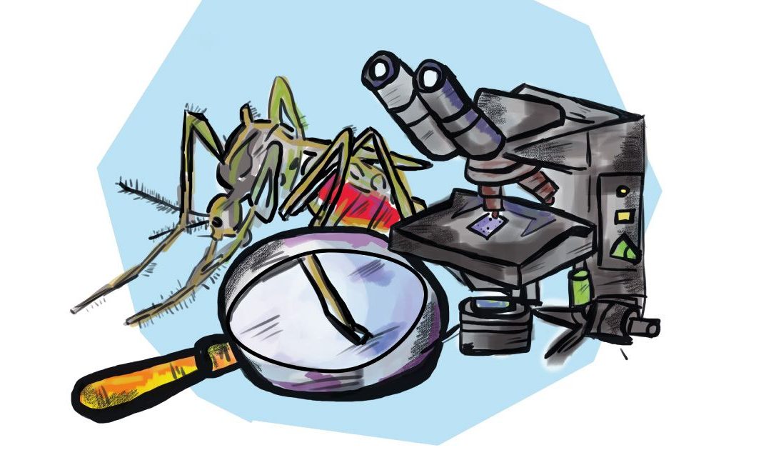 Liberan mosquitos contra el dengue en Medellín