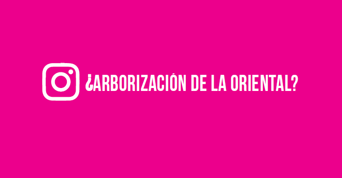 Qué piensan en Instagram de la arborización de la Oriental?