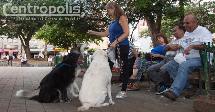 Mascotas en el Centro: así se debe evitar su pérdida