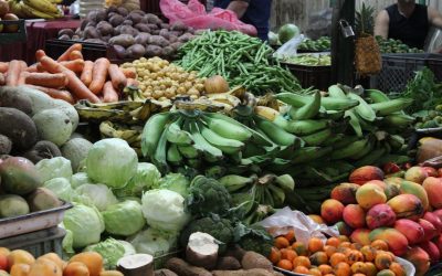 Universo Alimentario 2025