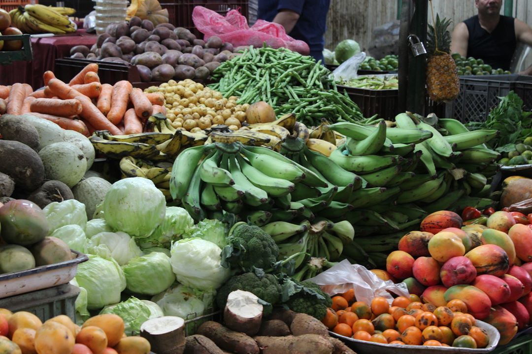 Universo Alimentario 2025