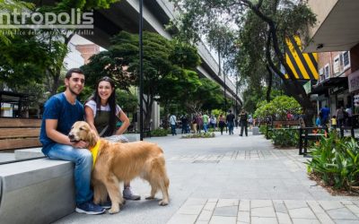 Paseo Bolívar, gran obra que pide acompañamiento