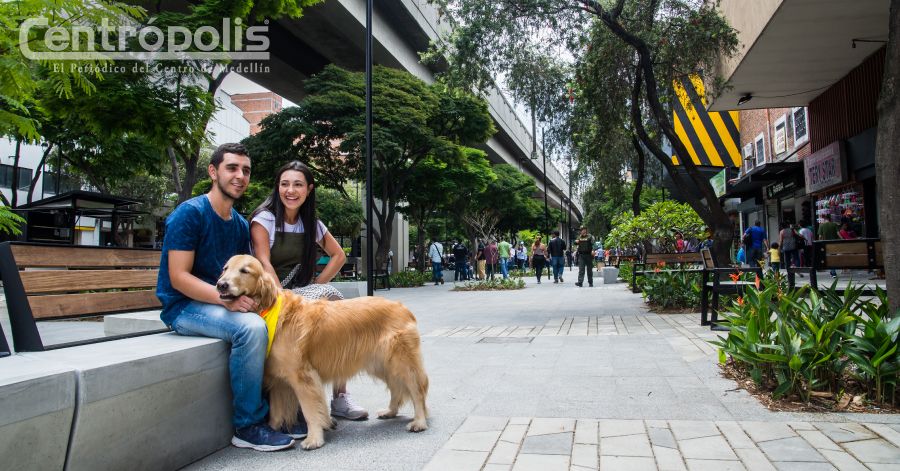 Paseo Bolívar, gran obra que pide acompañamiento