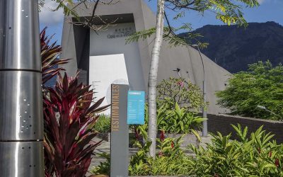 La biblioteca de la paz llegó al centro