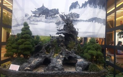 22 años de Exposición Bonsái en Sandiego