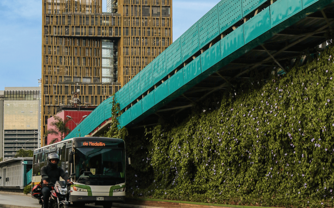El camino de las semillas que reverdecen los corredores y muros de la ciudad