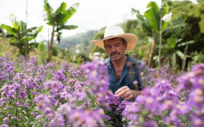 Microempresas de Colombia cumple 50 años de desarrollo territorial sostenible