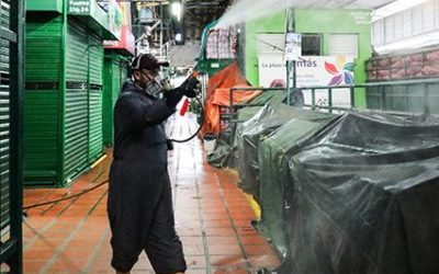 Nuevo brote de coronavirus en la Plaza Minorista