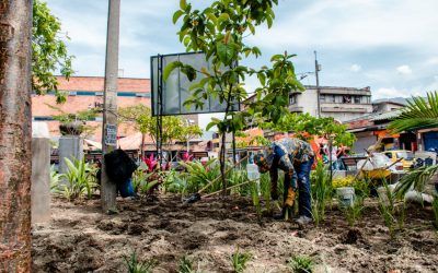 Nuevos árboles y jardines para el centro