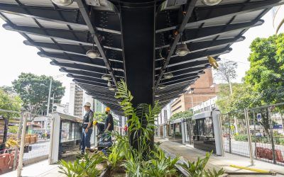 Nuevas estaciones de Metroplús ¿son accesibles?