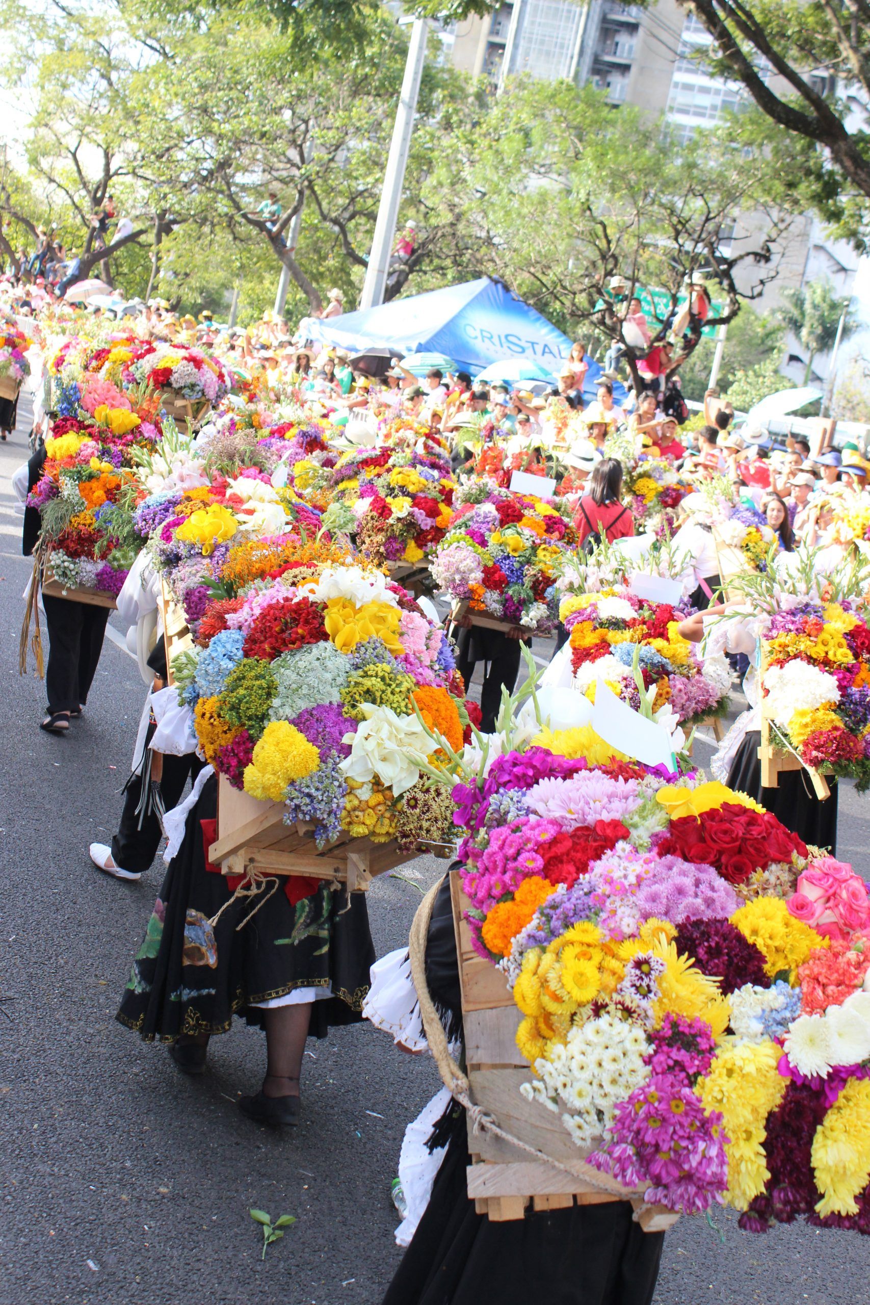 Regresa a Medellín la Feria de las Flores Centrópolis