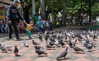 La migración también le trae cosas buenas al centro de Medellín