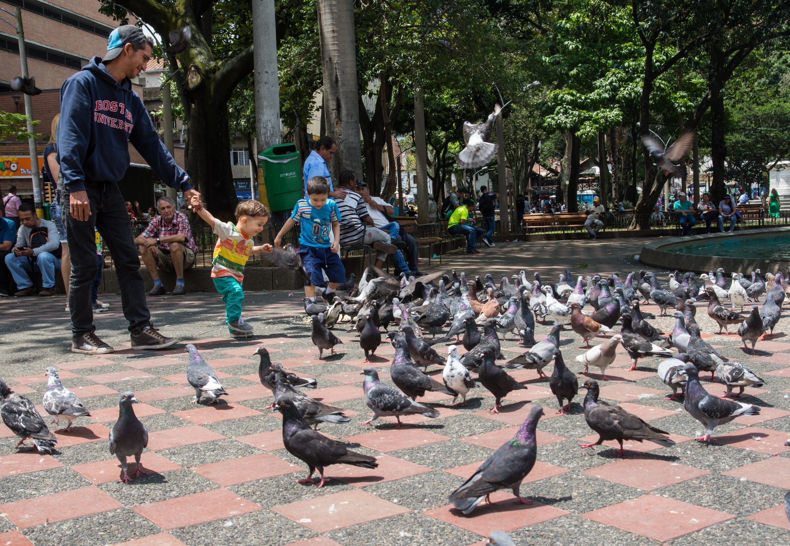 Migración migrantes