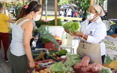 mercados campesinos