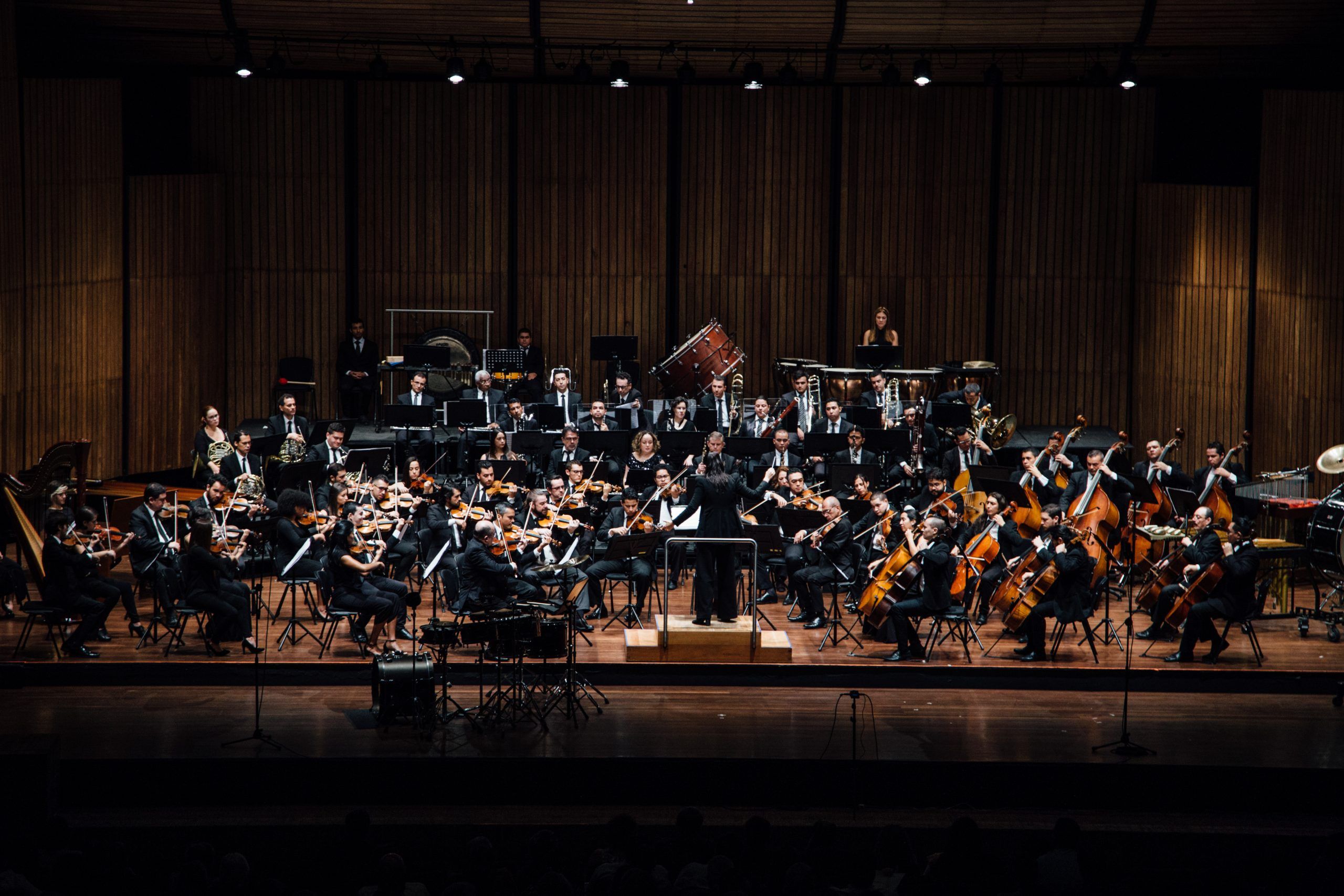 la orquesta filarmónica de medellín