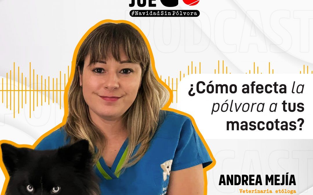 ¿Cómo afecta la pólvora a tus mascotas?