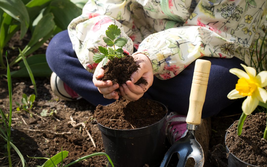 Aprenda a cosechar su huerta urbana con Centrópolis