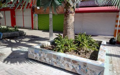 Jardineras del barrio San Benito vuelven a tener vida