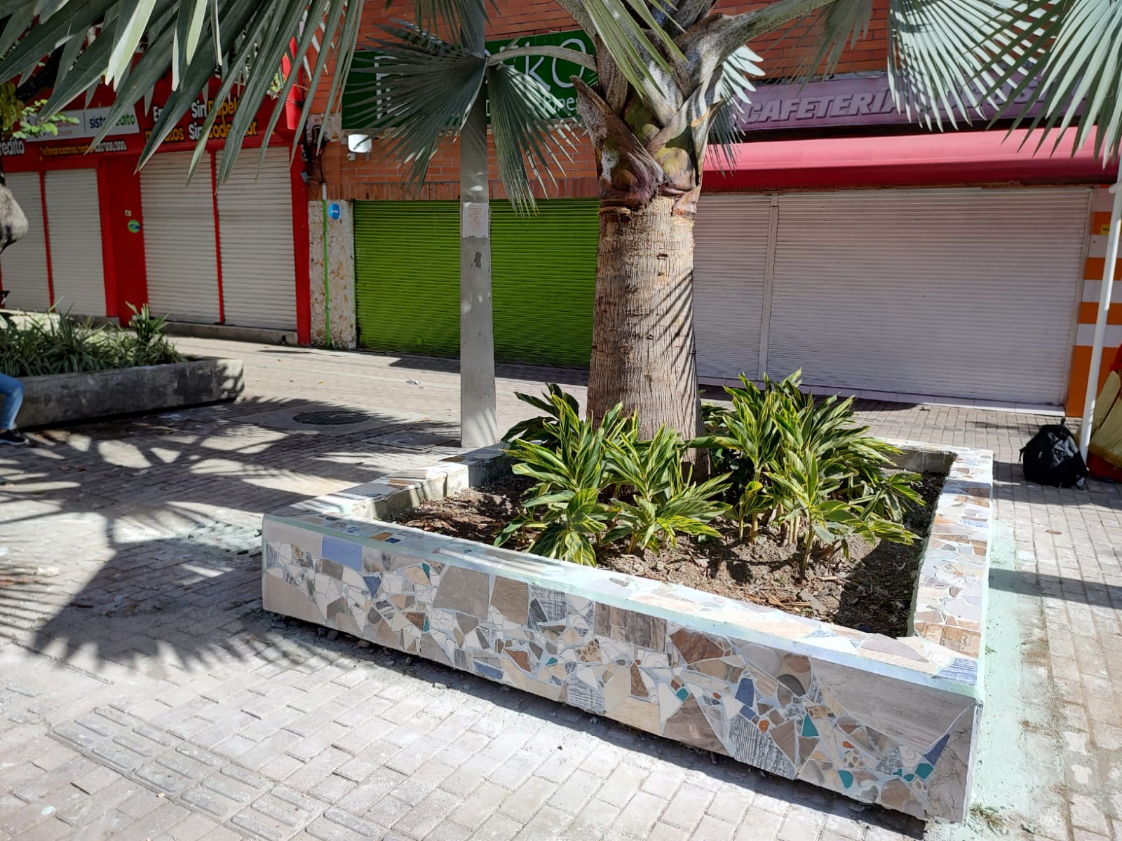 jardineras del barrio san benito