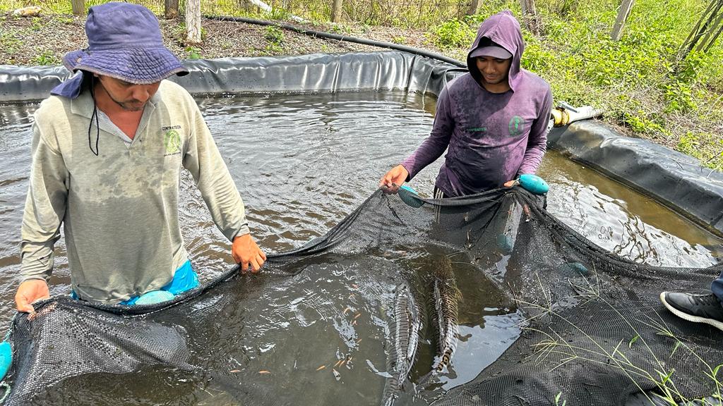 spa de peces río cauca