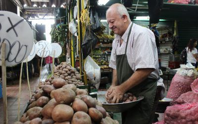 La plaza minorista, una historia que pronto cumplirá 40 años