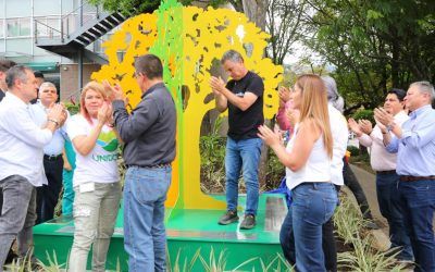 Conozca el Árbol de la Esperanza, un homenaje a las víctimas del Covid-19