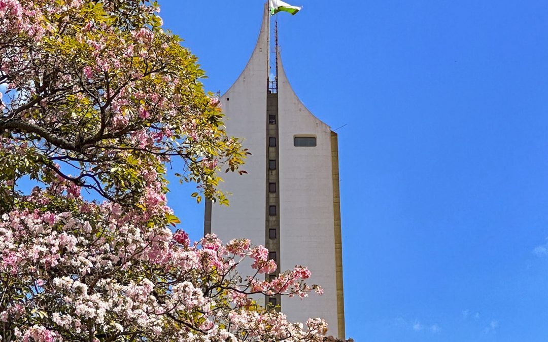El centro de Medellín florece