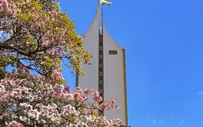 el centro de Medellín florece