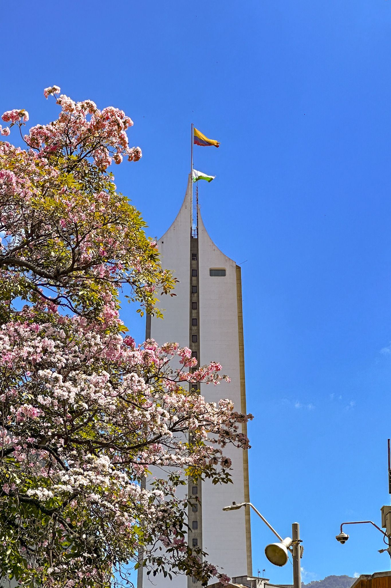 el centro de Medellín florece