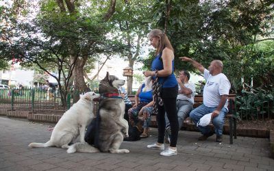 El bienestar de las mascotas, responsabilidad de sus dueños 