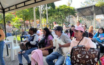 Así puede acceder a las jornadas de esterilización gratuitas en la ciudad 