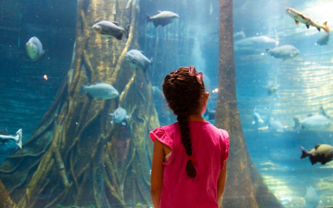 Medellín abre museos y teatros durante las vacaciones con entrada gratuita
