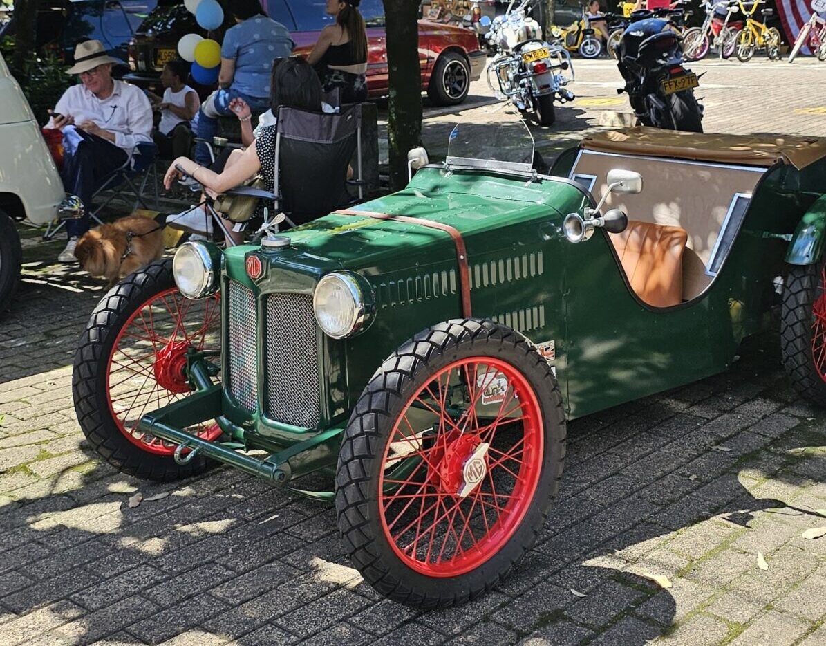 Pulguero Automotor