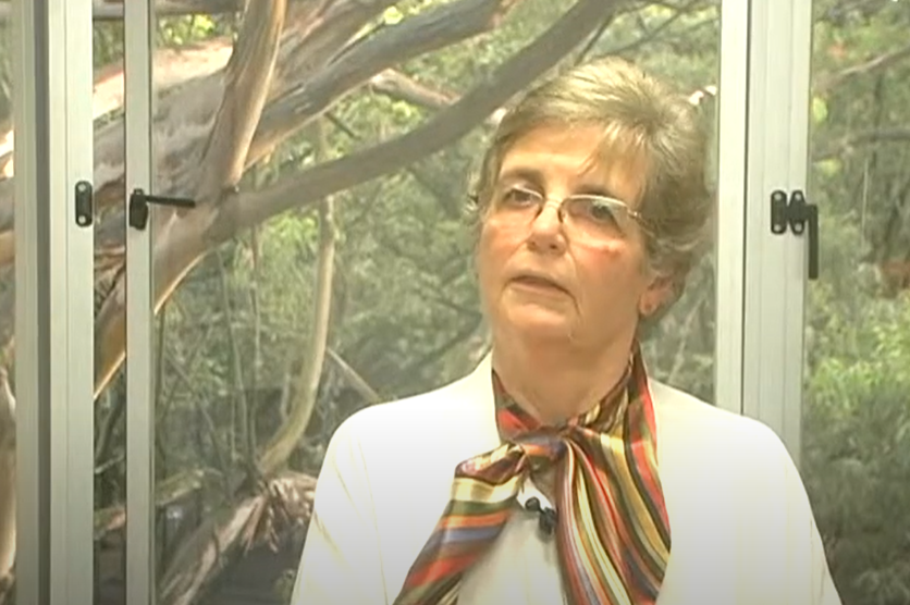 Falleció Zoraida Gaviria Gutiérrez, arquitecta clave en la transformación urbana de Medellín