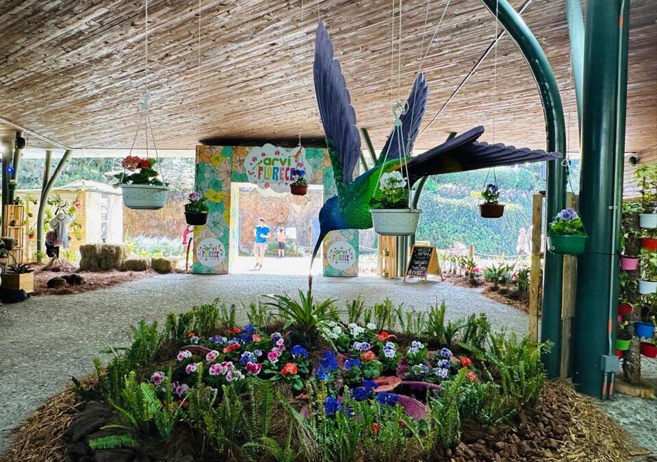 Programación martes 5 de agosto – Feria de las Flores 2025