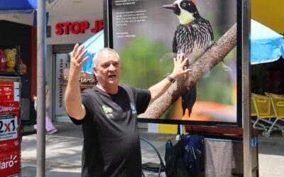 Exposición de Aves en Junín