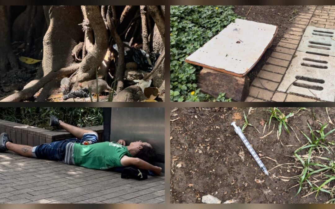 Parque de Bolívar pide auxilio