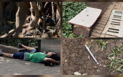 Parque de Bolívar pide auxilio