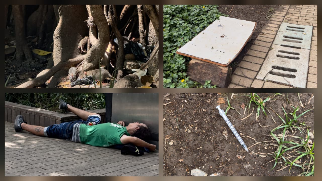 Parque de Bolívar pide auxilio