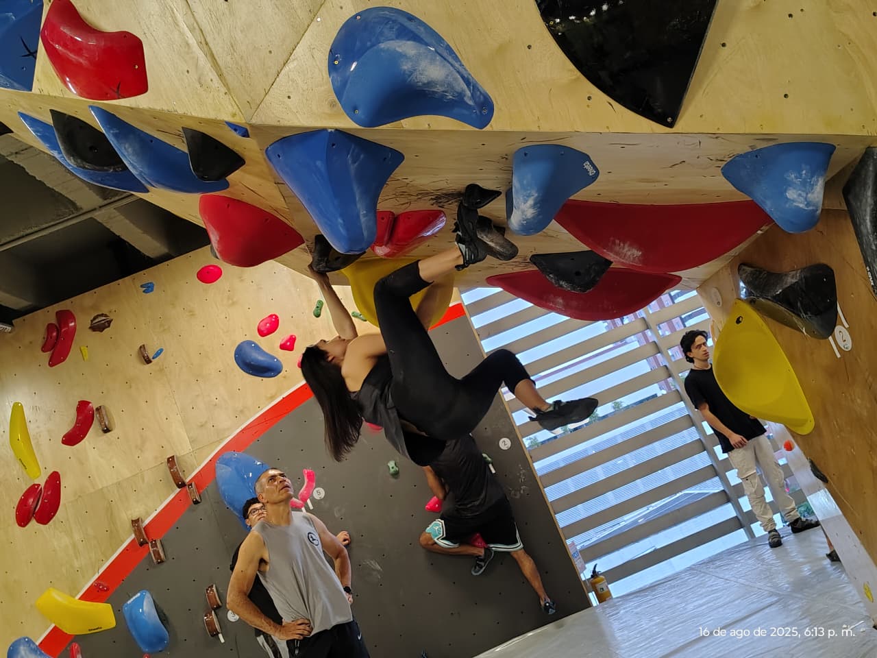 Muro de escalada Sandiego