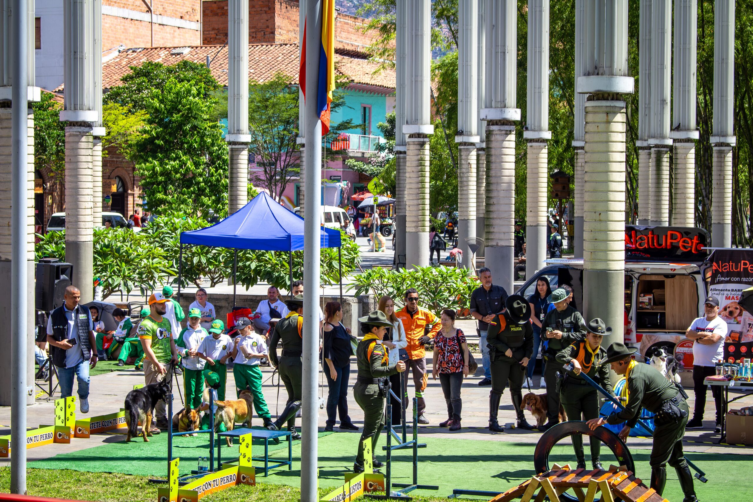 Love Pet Fest Love Pet Fest