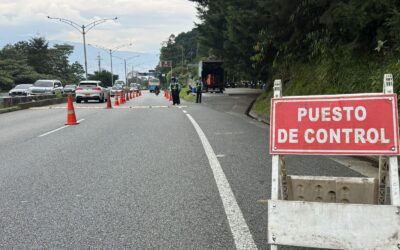 ¿Le gustan los piques en Las Palmas? piénselo dos veces antes de hacerlo
