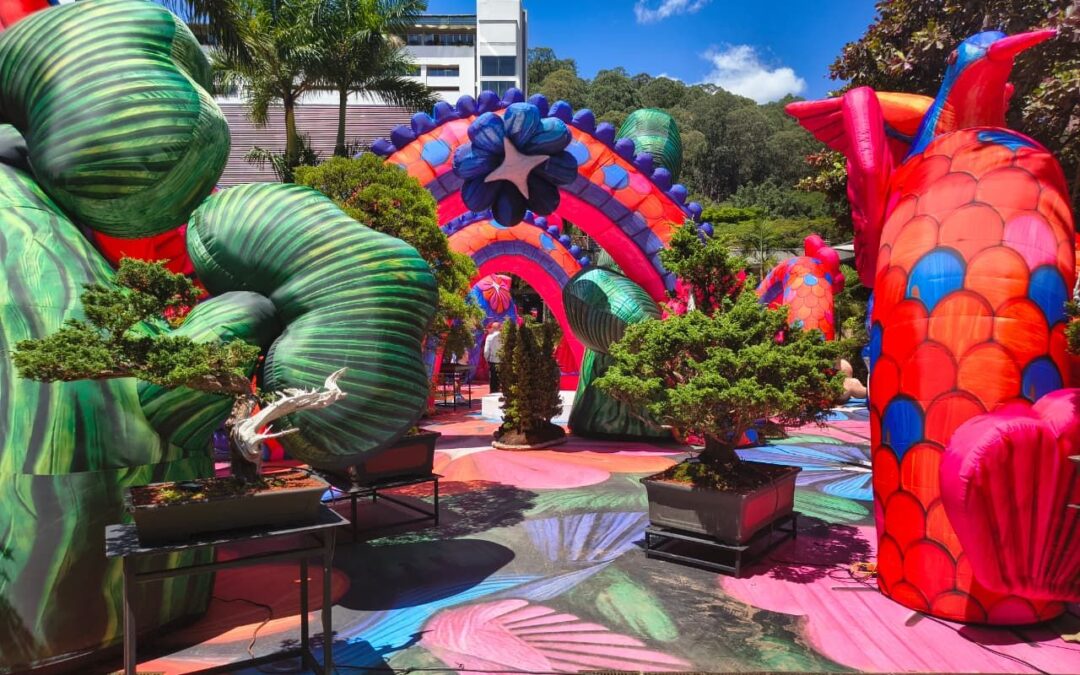 Exposición Bonsái, cometas gigantes y vinilos: así será la Feria de las Flores en Sandiego