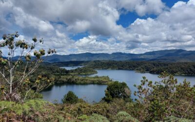 Levantan el racionamiento temporal de agua, pero piden mantener el ahorro de agua