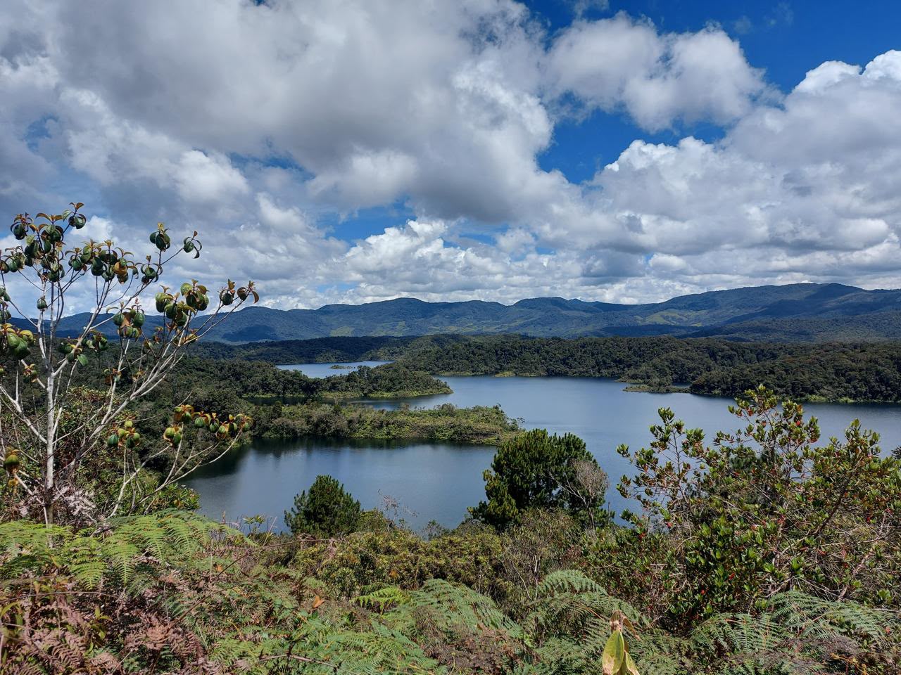 Embalse